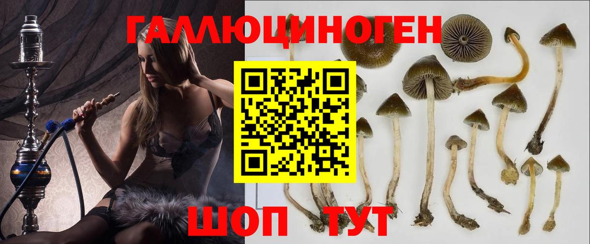 Галлюциногенные грибы мицелий Луга